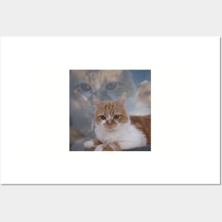 Dramatic Cute Cat in The Blue Sky Photography Posters and Art